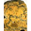 Bumblebee Jasper Slice, Exceptional vibrant color Prehistoric Online