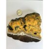 Bumblebee Jasper Slice, Exceptional vibrant color Prehistoric Online