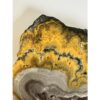 Bumblebee Jasper Slice, Bright orange color Prehistoric Online