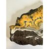 Bumblebee Jasper Slice, Bright orange color Prehistoric Online