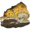 Bumblebee Jasper Slice, Bright orange color Prehistoric Online