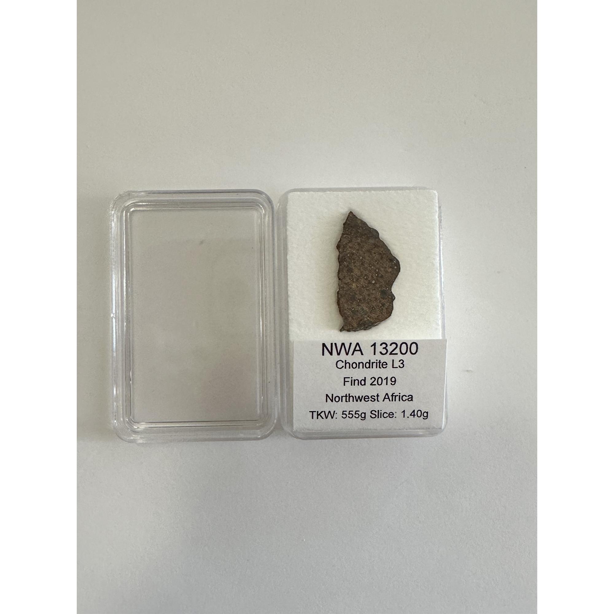 NWA 13200 meteorite, Chondrite L3 Prehistoric Online
