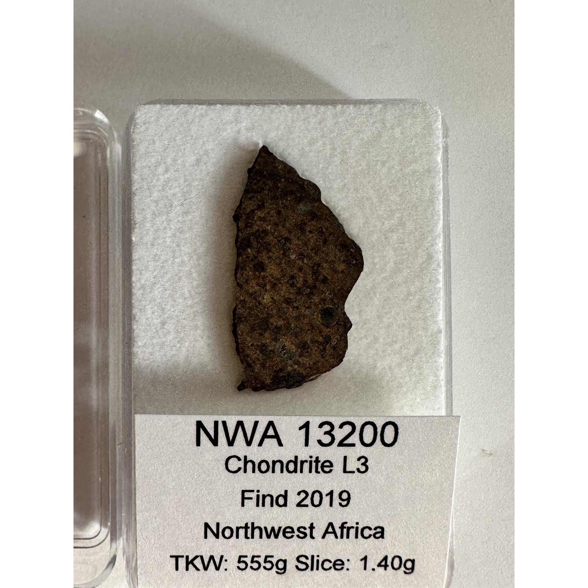 NWA 13200 meteorite, Chondrite L3 Prehistoric Online
