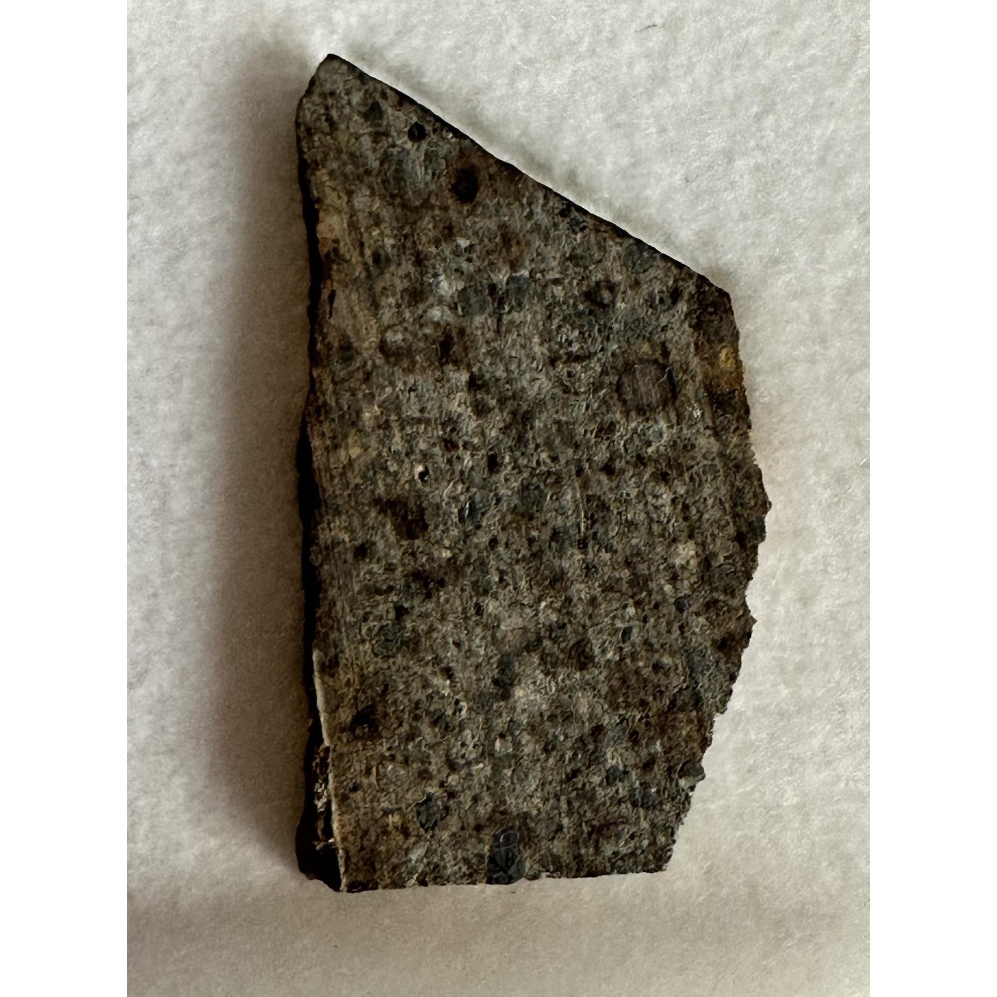 NWA 8602 meteorite, Chondrite LL4 Prehistoric Online