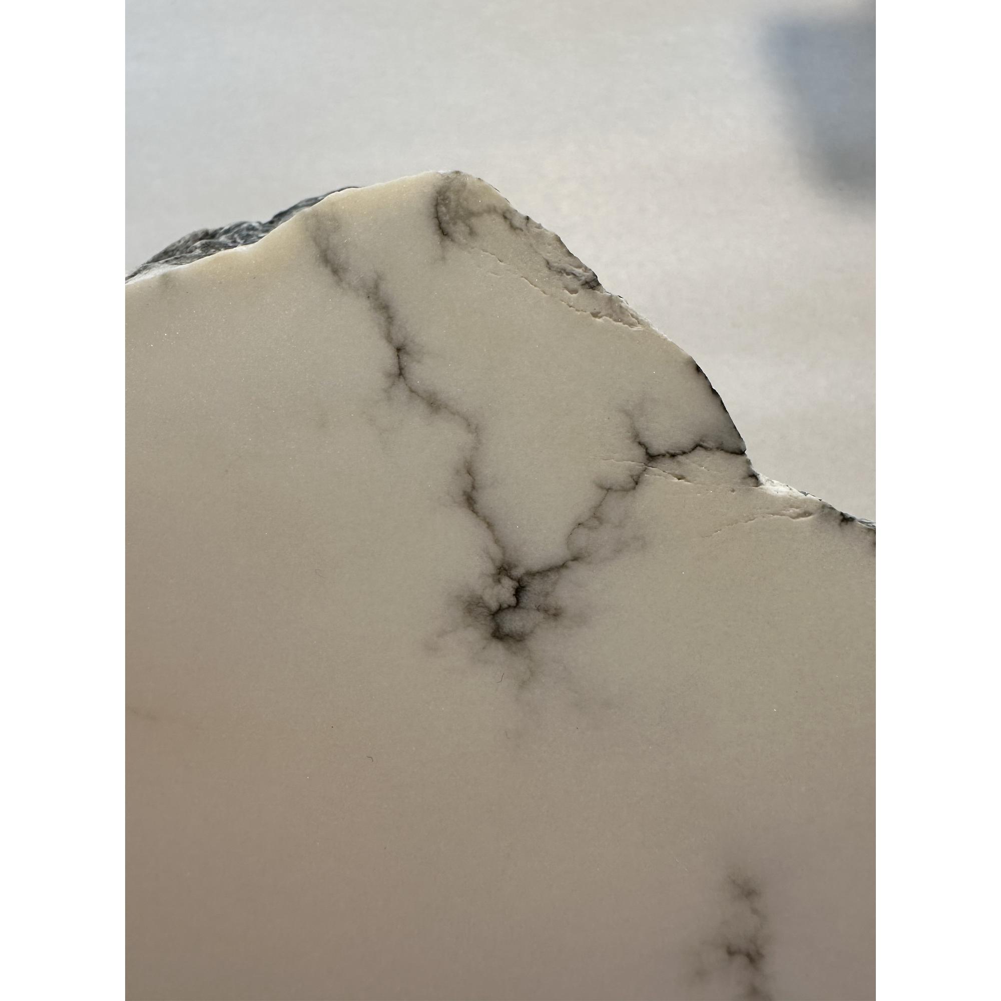 Howlite, California, White with grey veins, gorgeous Prehistoric Online