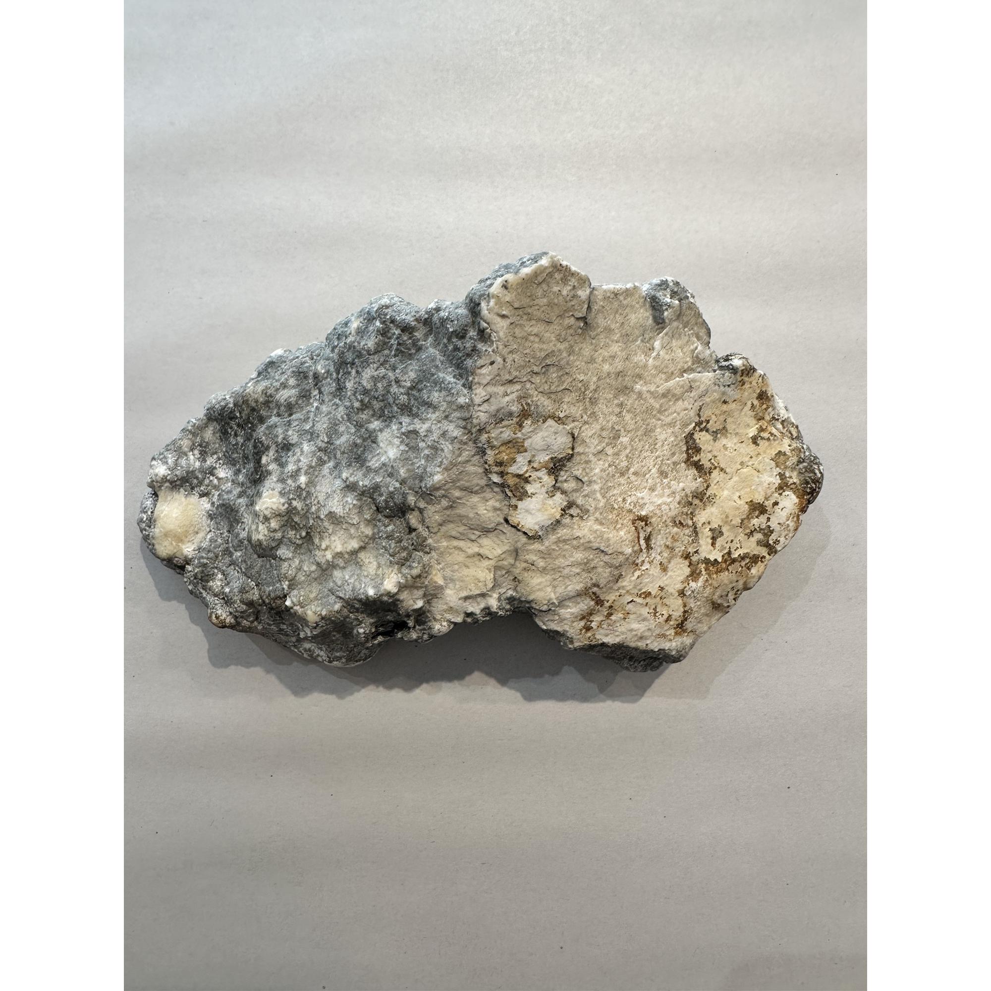 Howlite, California, Large half polished half rough specimen Prehistoric Online