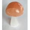 Selenite Mushroom, Orange and White Prehistoric Online