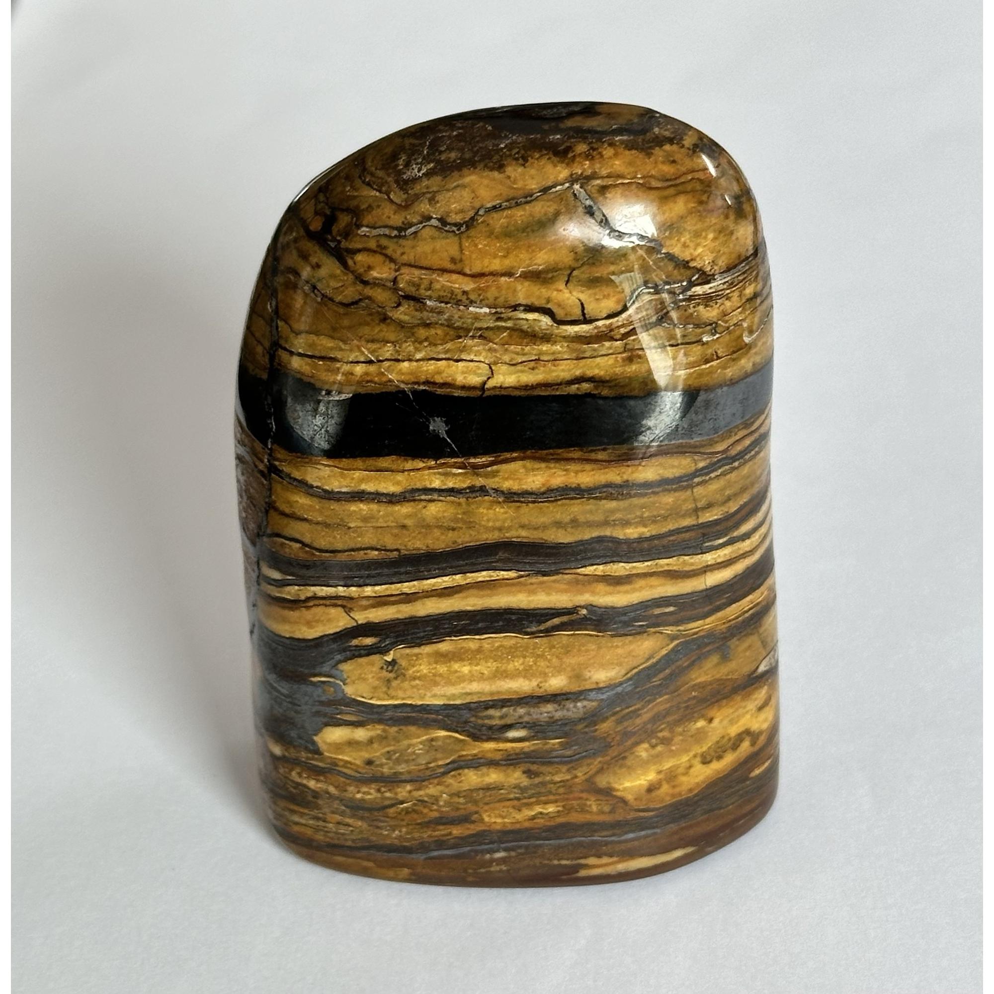 Tiger Iron stand up, highly polished, great layers Prehistoric Online