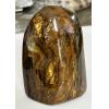 Tiger Iron stand up, highly polished, vivid chatoyancy Prehistoric Online