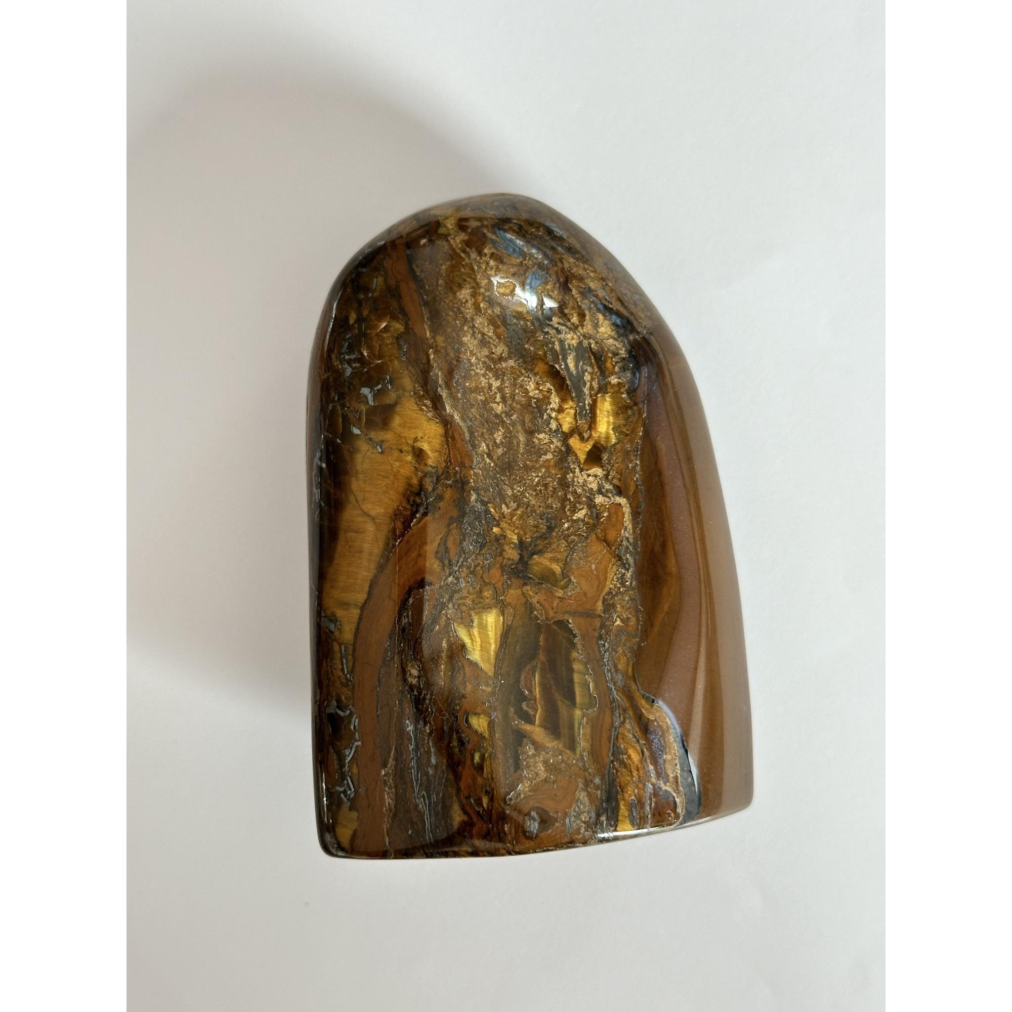 Tiger Iron stand up, highly polished, vivid chatoyancy Prehistoric Online