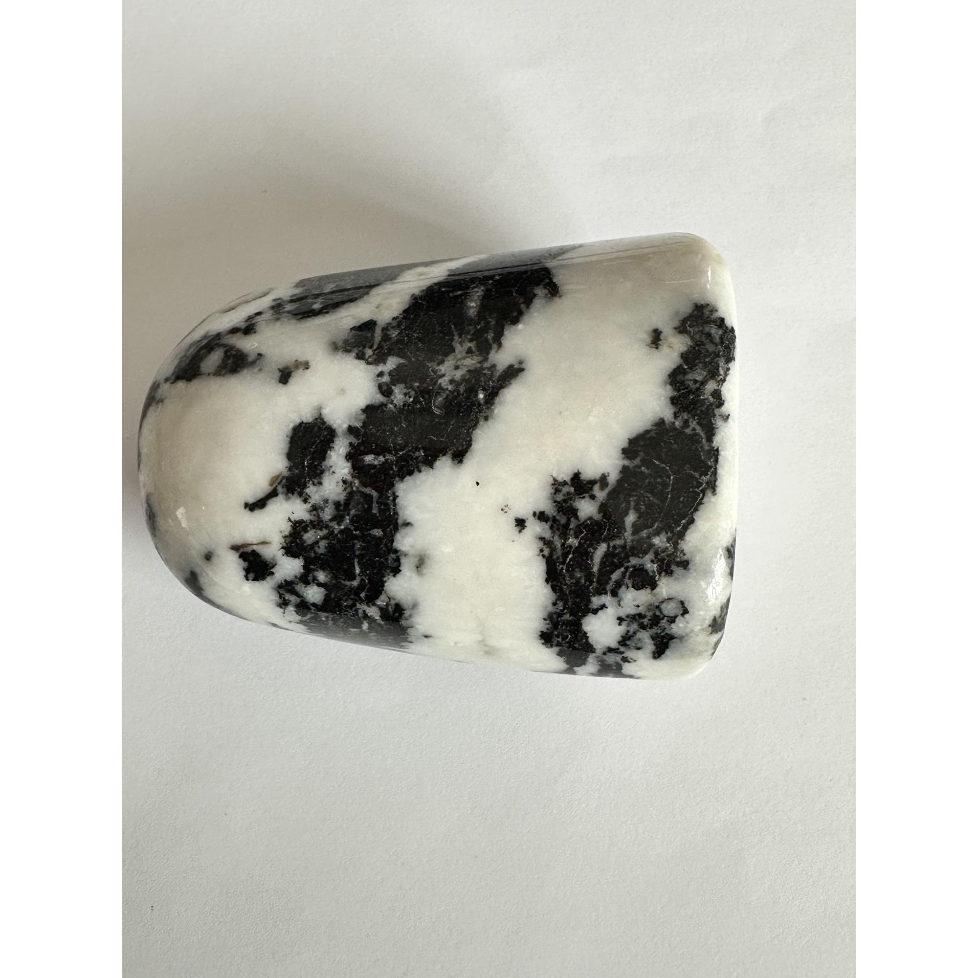 Zebra Stone Jasper mineral Prehistoric Online