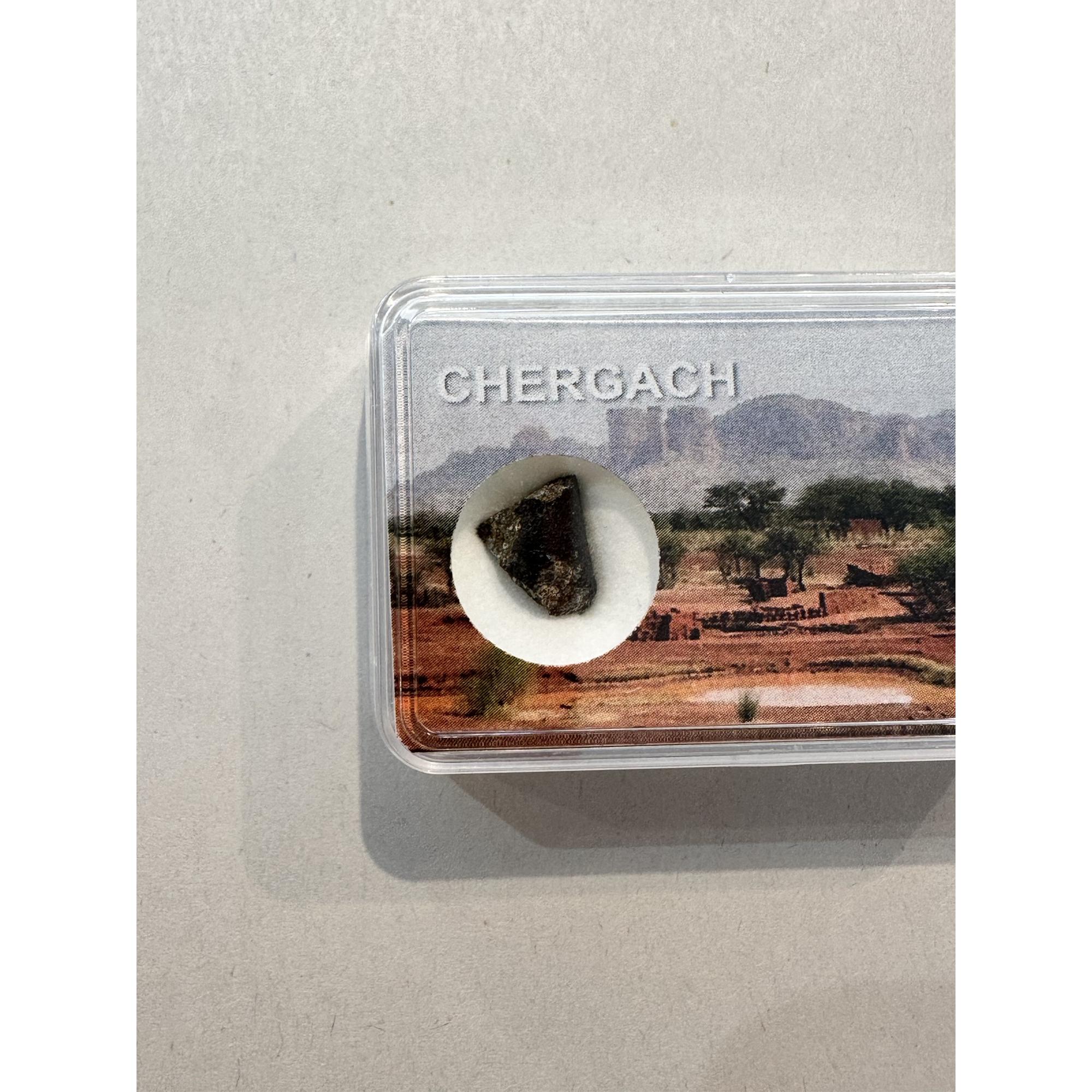 Chergach meteorite, Chondrite H5, Mali Prehistoric Online