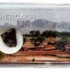 Chergach meteorite, Chondrite H5, Mali Prehistoric Online