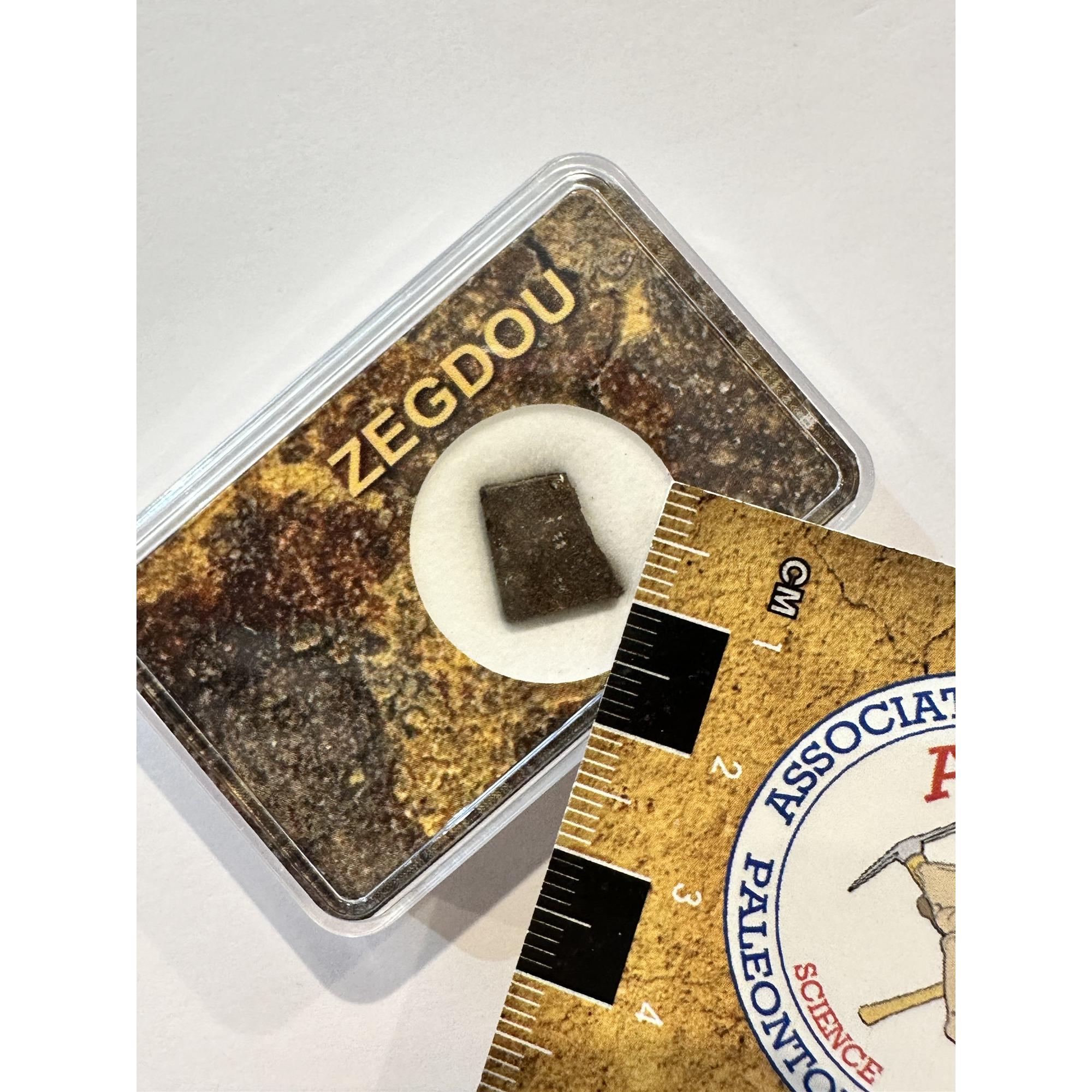 Zegdou meteorite, Chondrite H3, Algeria Prehistoric Online