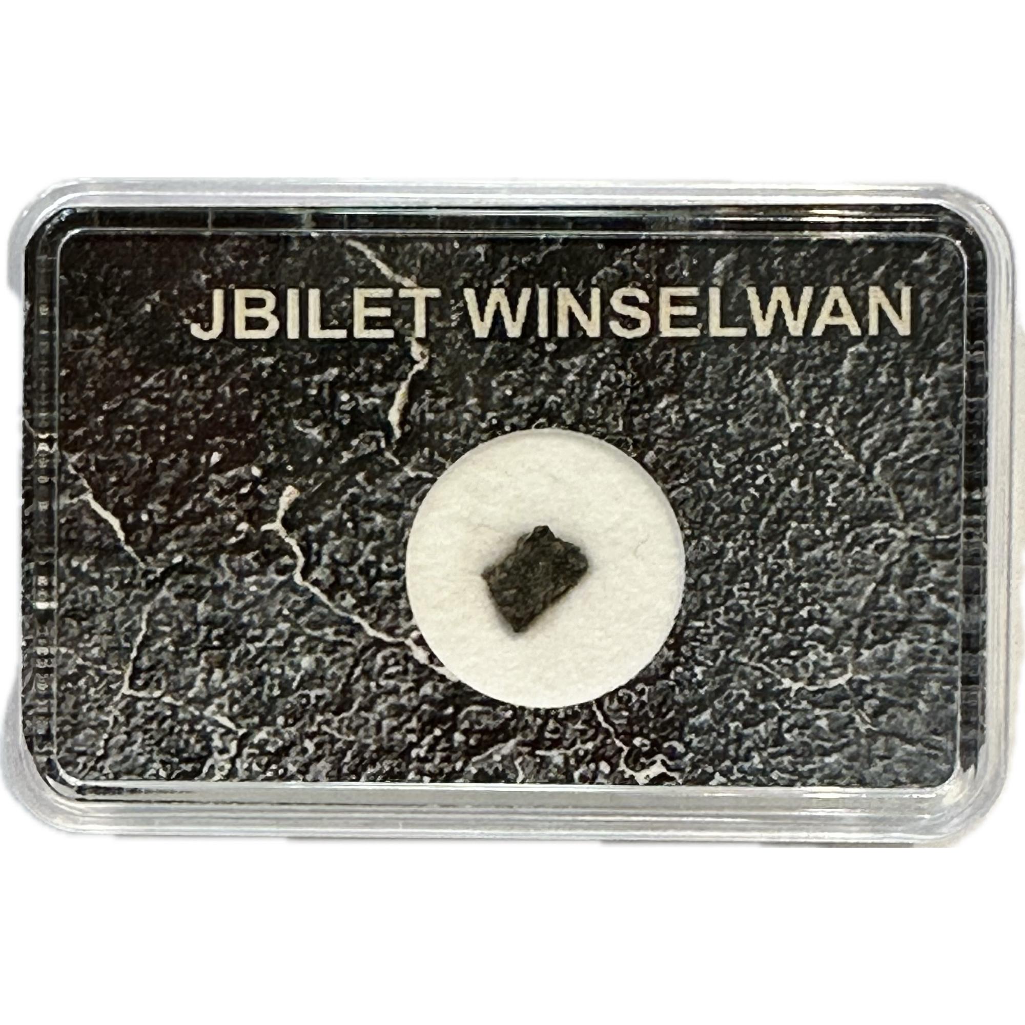 Jbilet Winselwan meteorite Prehistoric Online