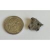 Trinitite Rock, Alamogordo, 18mm Prehistoric Online