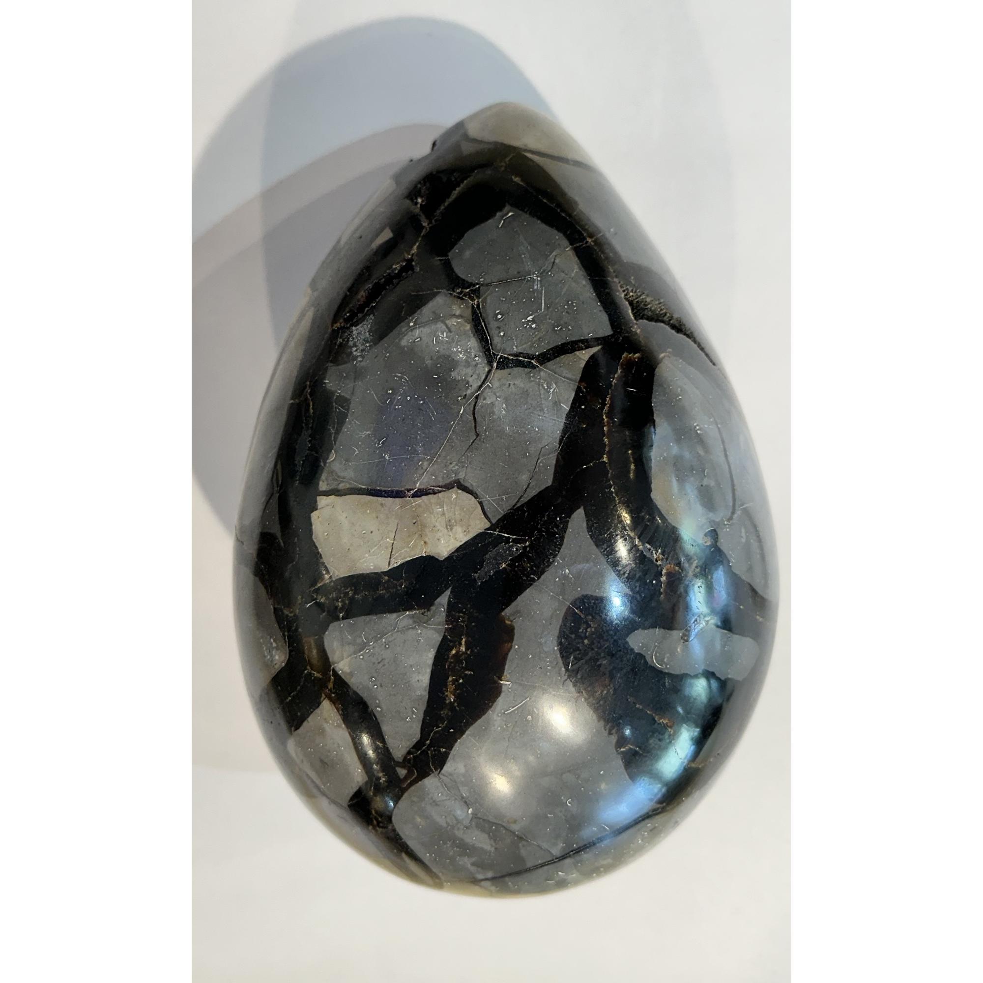 Dragon egg from Madagascar, 8 1/2″ huge Prehistoric Online