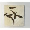 Fish mortality plate fossil, Wyoming Prehistoric Online