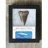 Mako Shark Tooth, 2 1/3″ Prehistoric Online