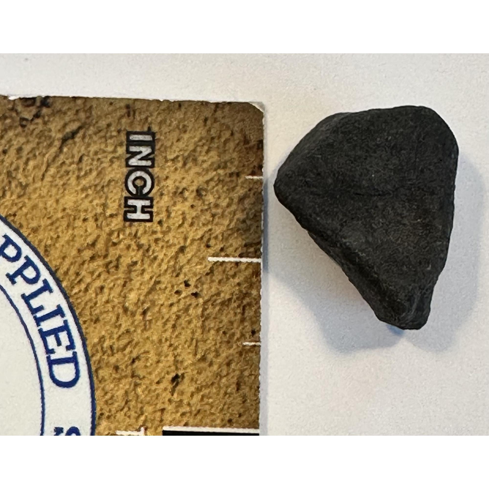 Chergach Meteorite, 3.46grams Prehistoric Online