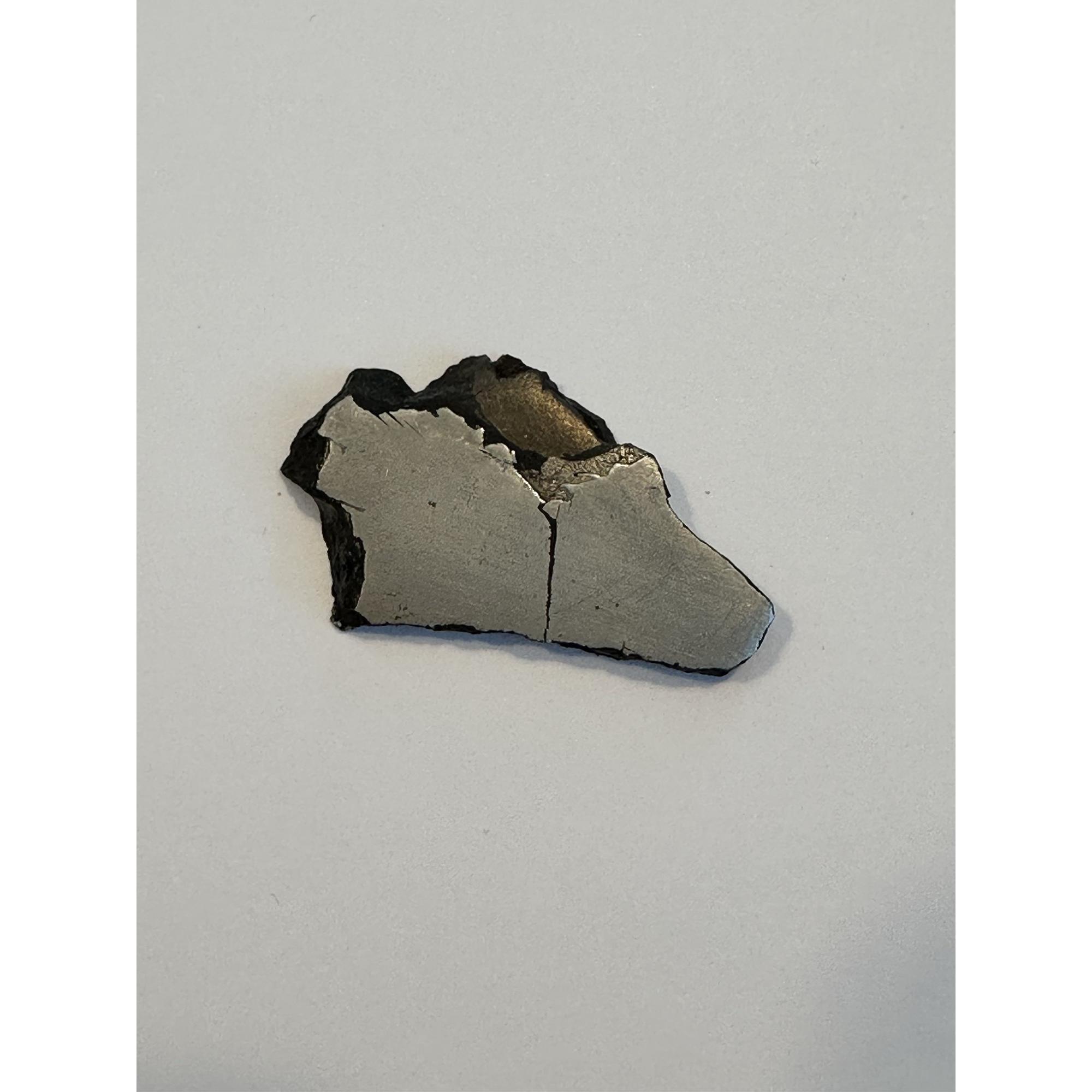 Meteorite, NWA 11106, Morocco Prehistoric Online
