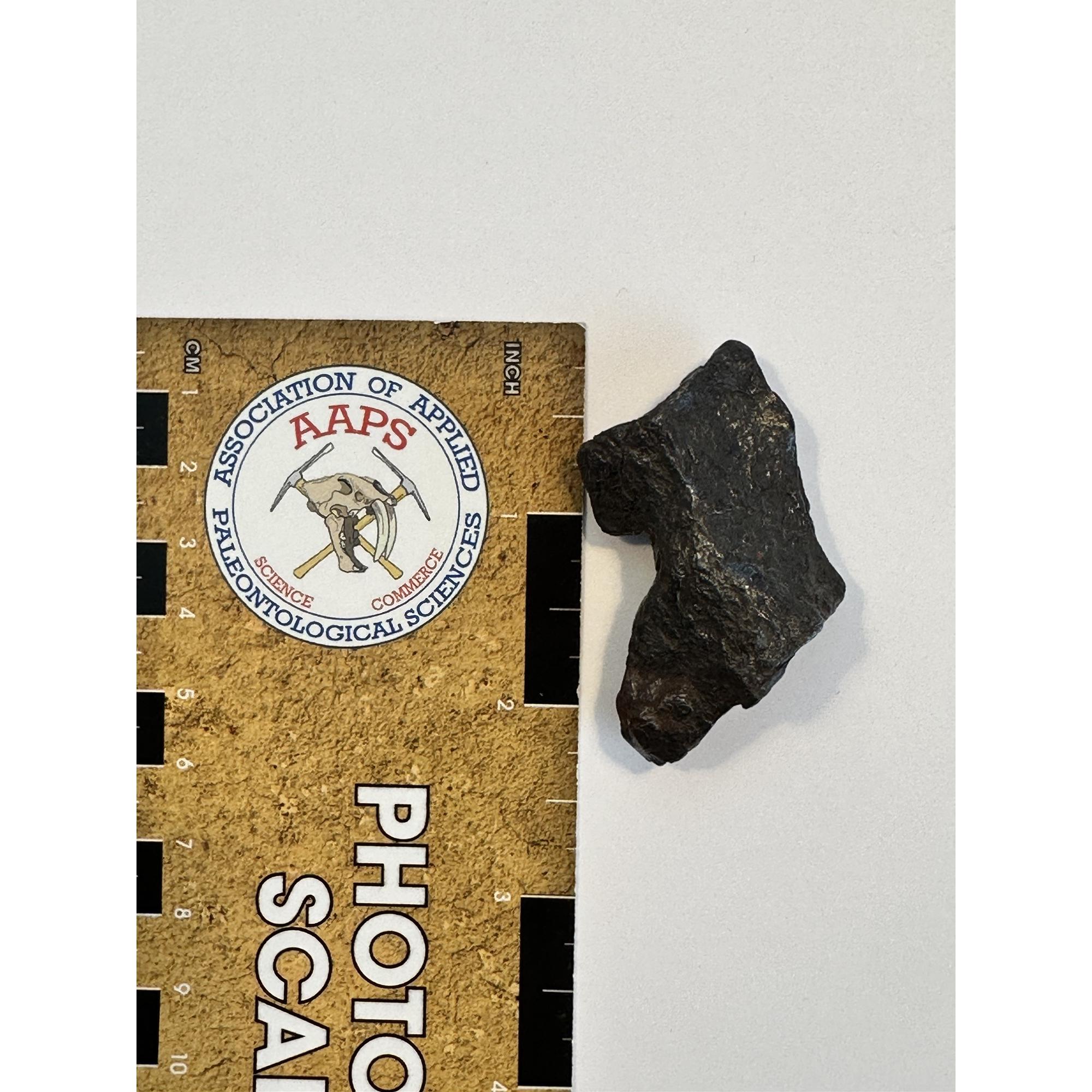 Meteorite, Canyon Diablo, meteor crater Prehistoric Online