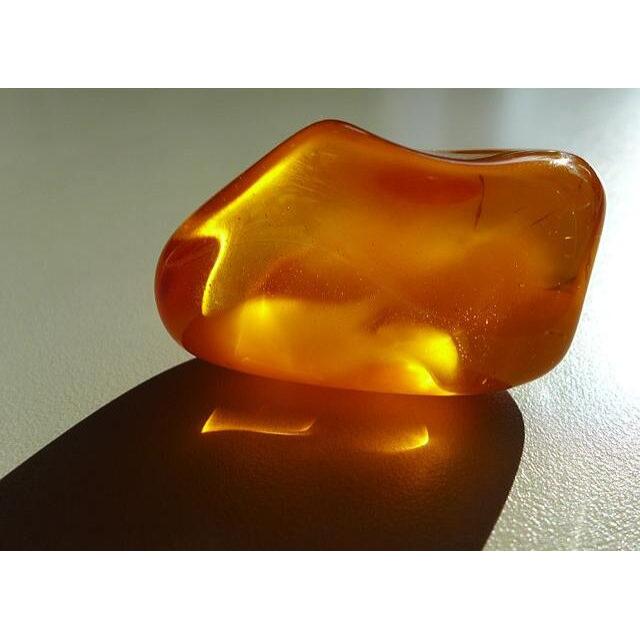 AMBER, NATURES GOLDEN TREASURE