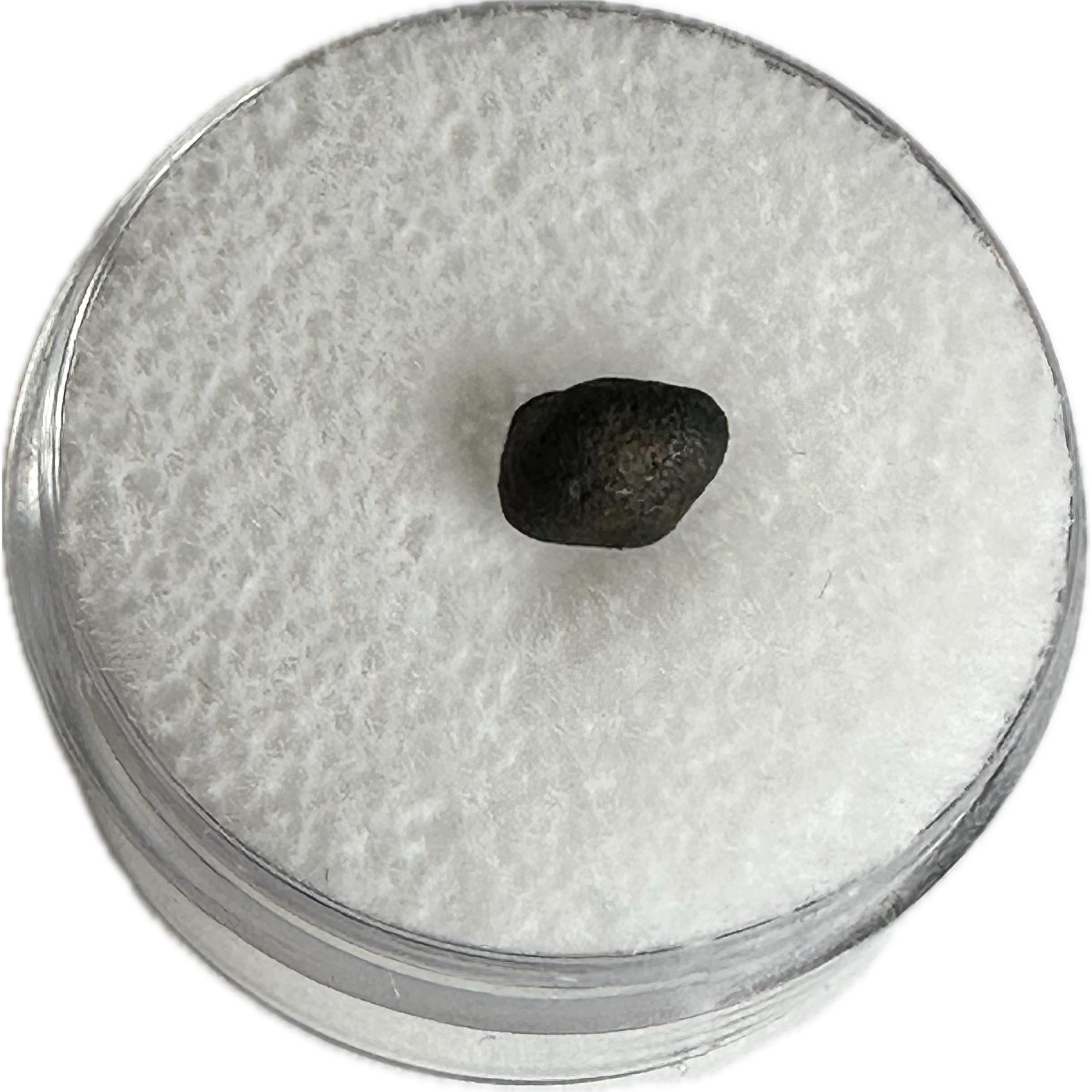 Chelyabinsk Meteorite, 0.17 grams Prehistoric Online