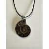 Cleoniceras Ammonite Pendant,  18″ leather cord Prehistoric Online