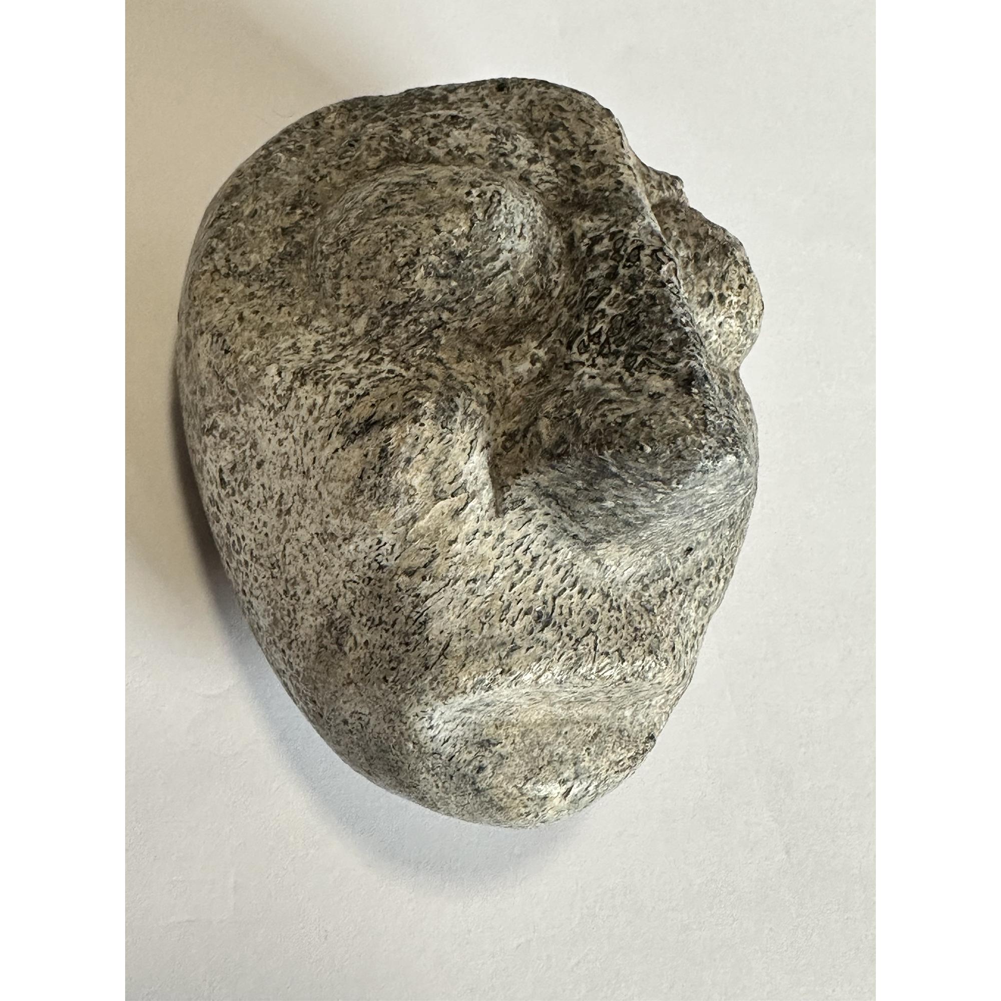 Stegadon bone hand carved mask Prehistoric Online