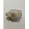 Opalized Clam, Coober Pedy, Australia Prehistoric Online