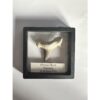 Otodus shark tooth in display Prehistoric Online