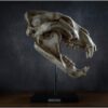 Cave Lion Skull Replica on custom stand Prehistoric Online