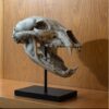 Black Bear Skull Replica on custom stand Prehistoric Online