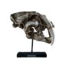 Saber Cat Skull Replica on custom stand Prehistoric Online