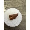 Raptor tooth, riker box display Prehistoric Online