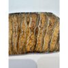 Woolly Mammoth Tooth slice Prehistoric Online