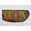 Woolly Mammoth Tooth slice Prehistoric Online