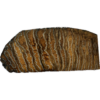 Woolly Mammoth Tooth slice Prehistoric Online