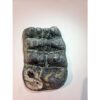 Stegodon Molar, Rare and exceptional Prehistoric Online