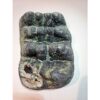 Stegodon Molar, Rare and exceptional Prehistoric Online