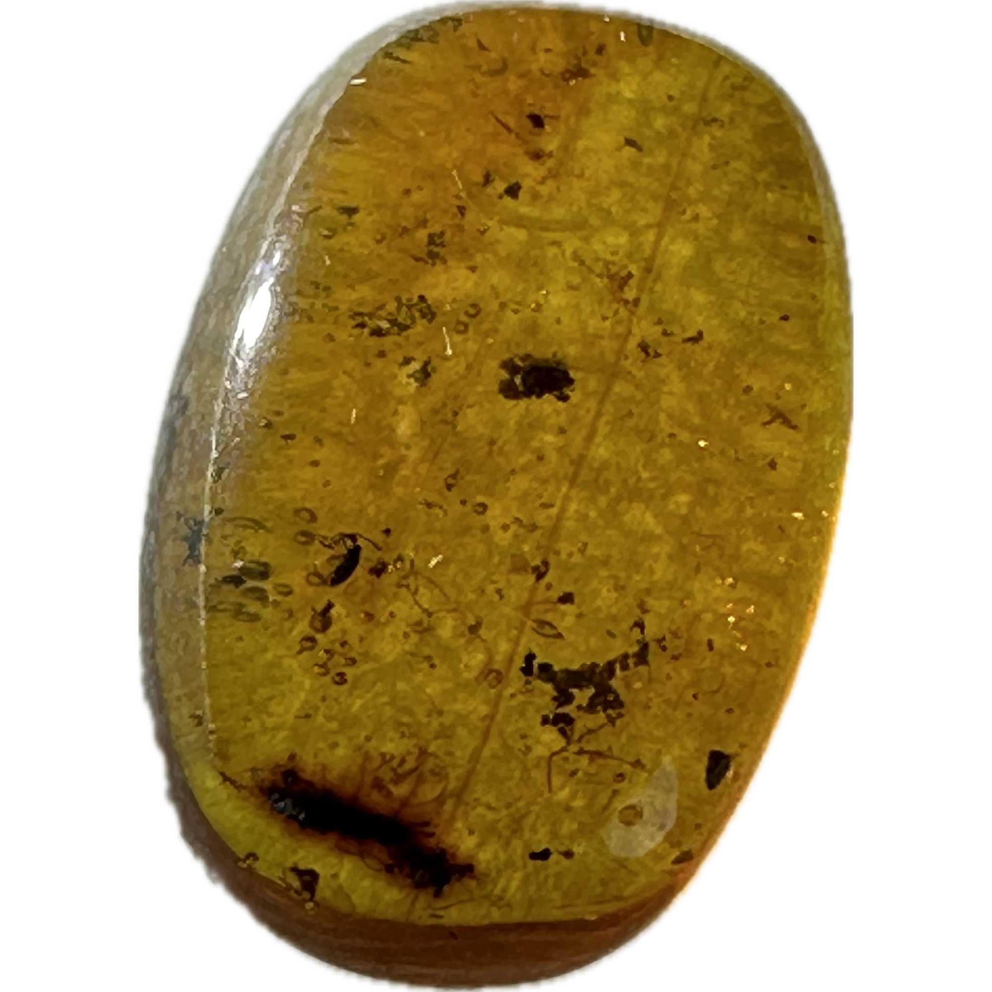Amber with Bugs , Dark honey Prehistoric Online
