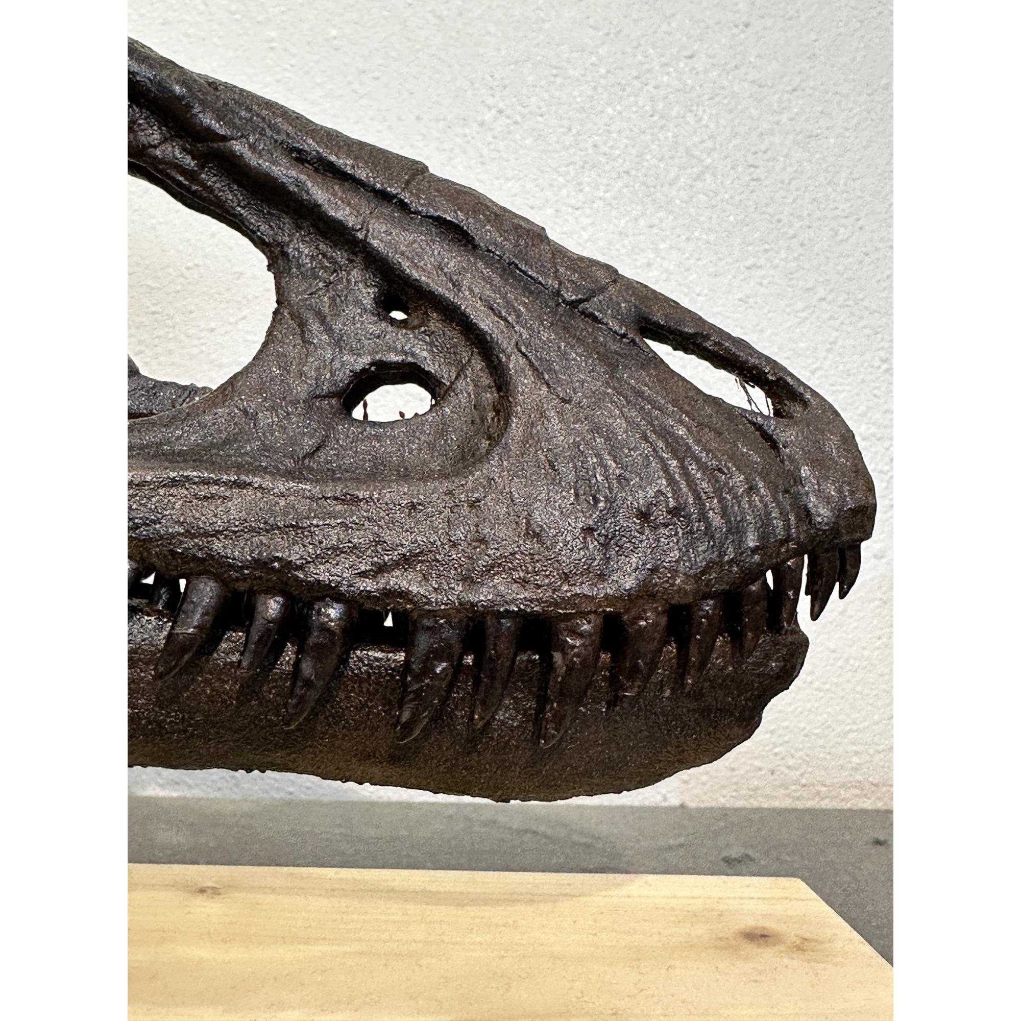 Tyrannosaurus Rex yearling Skull replica Prehistoric Online