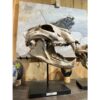 Cave Lion Skull Replica on custom stand Prehistoric Online