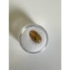 Amber with Bugs , Lithuania, 2 insects Prehistoric Online