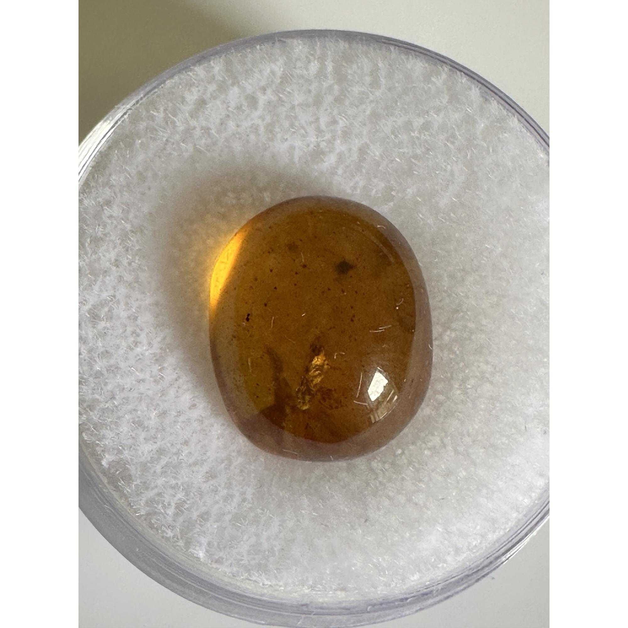 Amber with Bugs , deep honey color Prehistoric Online