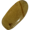 Amber with Bugs , Lithuania Prehistoric Online