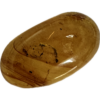 Amber with Bugs , Lithuania Prehistoric Online