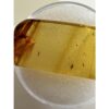 Amber with Bugs , multiple insects Prehistoric Online