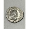 Roman Coin, 95-98% Silver Denarius Prehistoric Online